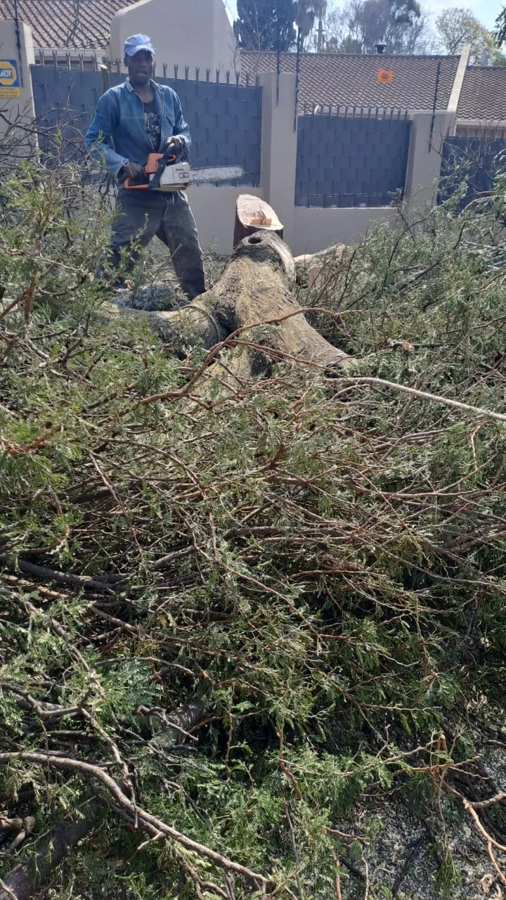 Land clearing in Midrand and Gauteng